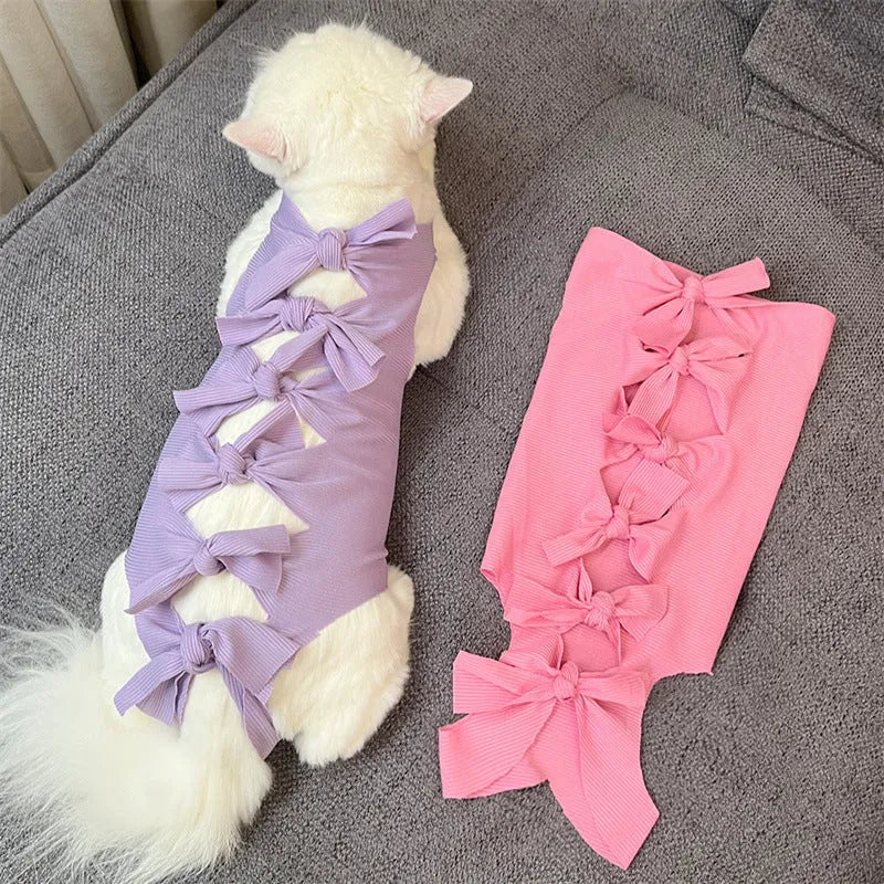 Cat wearing blue polyester recovery suit with lace-up back closure after sterilisation surgery
