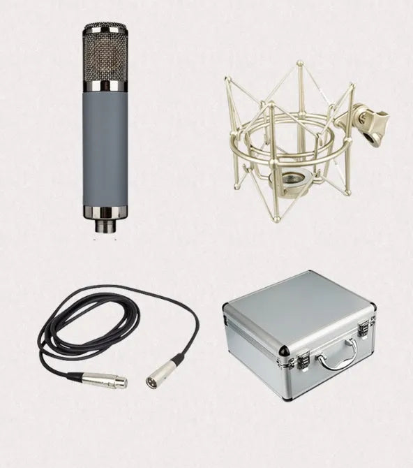 Condenser microphone with 34mm gold diaphragm and cardioid pickup on shockproof rack