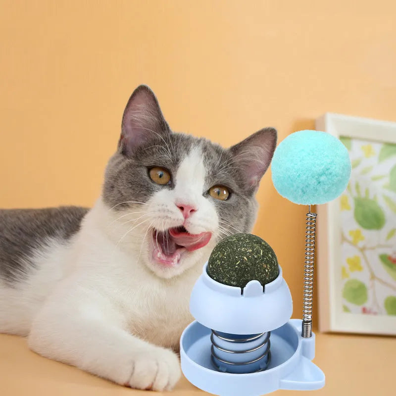 Small mint-flavoured cat ball toy for licking and self-play in blue, orange, or pink
