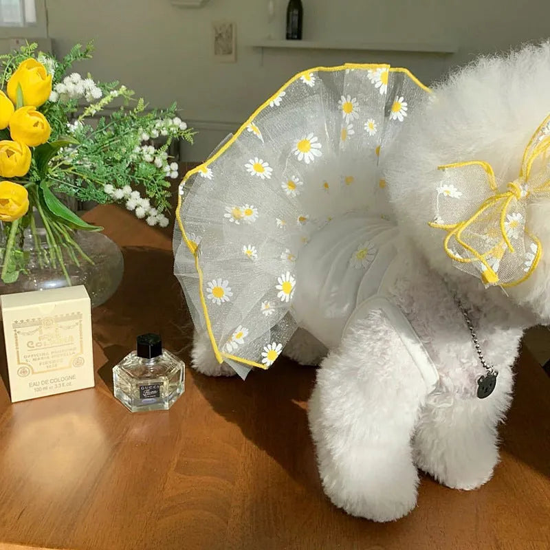 Yellow daisy print dog clothes on pet with lightweight polyester summer outfit