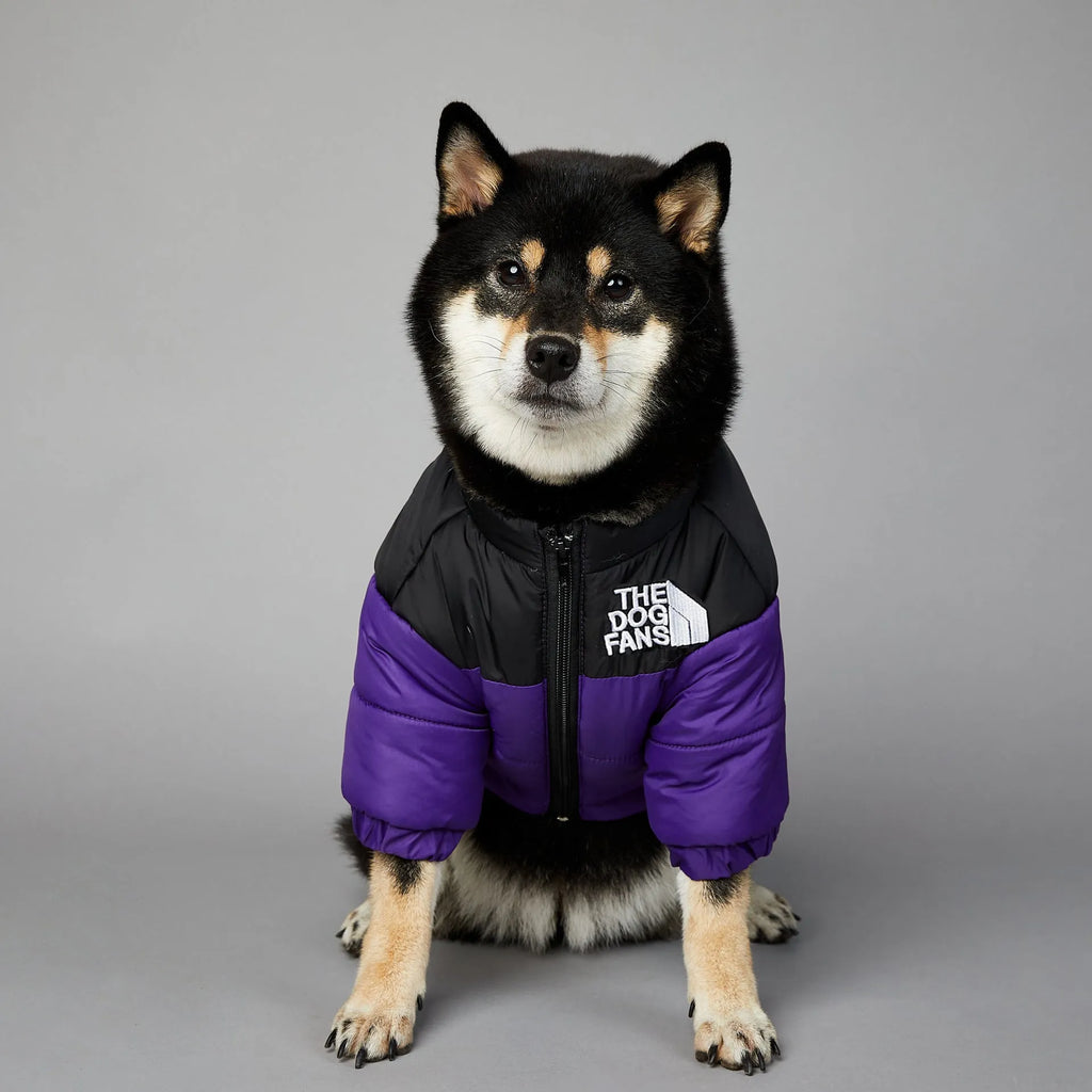 Windproof and rainproof polyester dog winter coat in dark green, available in multiple sizes