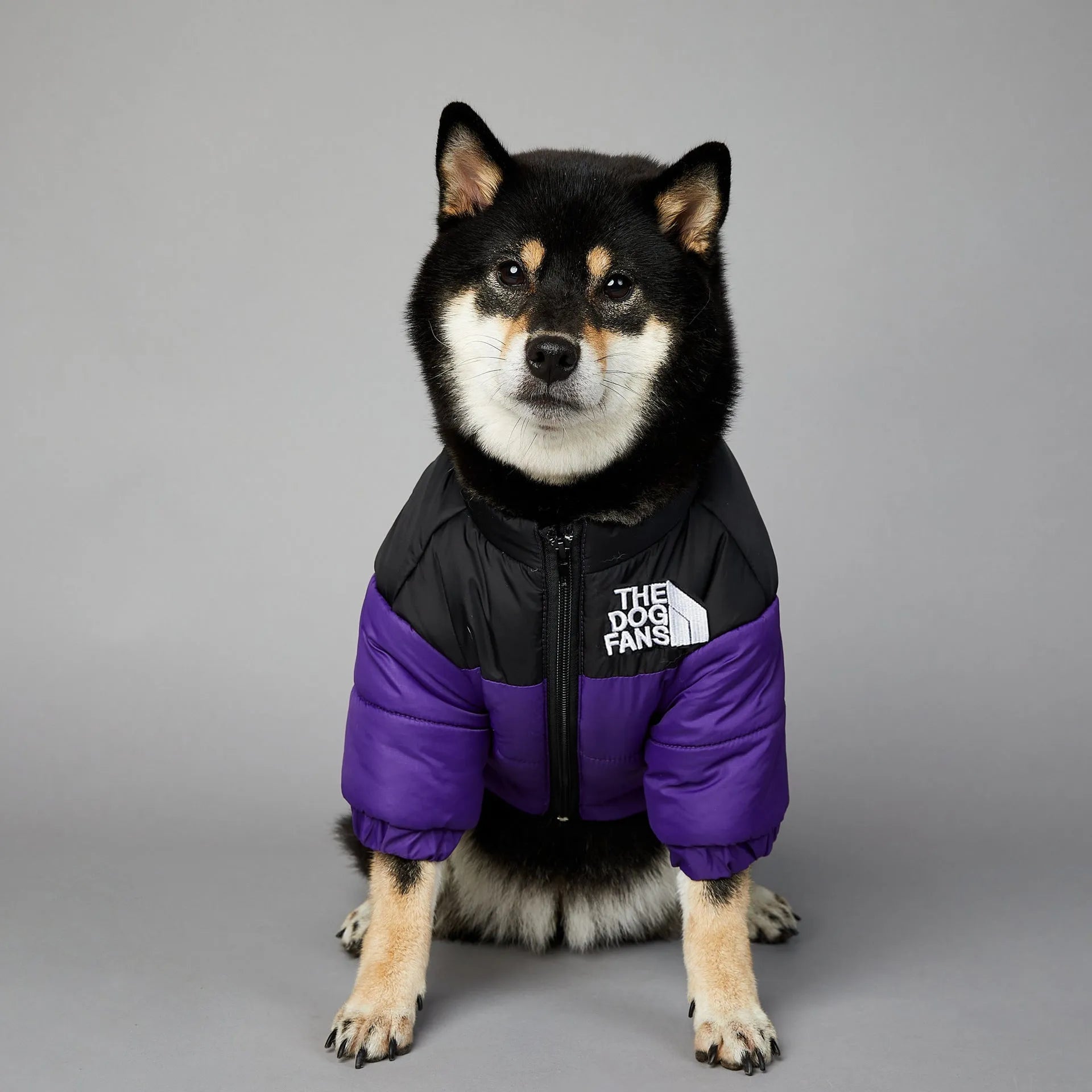 Windproof and rainproof polyester dog winter coat in dark green, available in multiple sizes