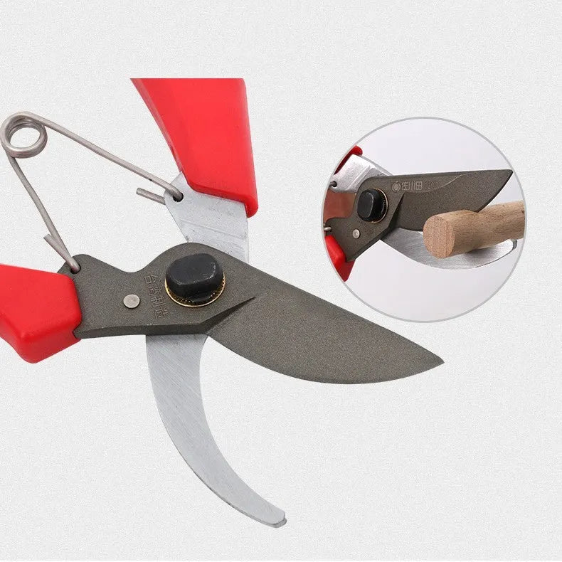Red-handled SK5 steel pruning scissors 200mm total length 50mm blade on white background