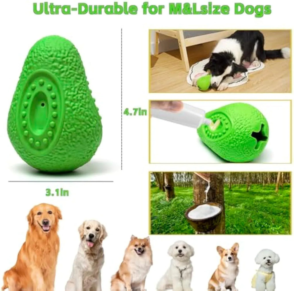 Green natural rubber indestructible dog chew toy shaped like an avocado.