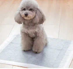 Disposable non-woven pet diapers in tablet form, sizes S M L XL, pack counts 100 50 40 25