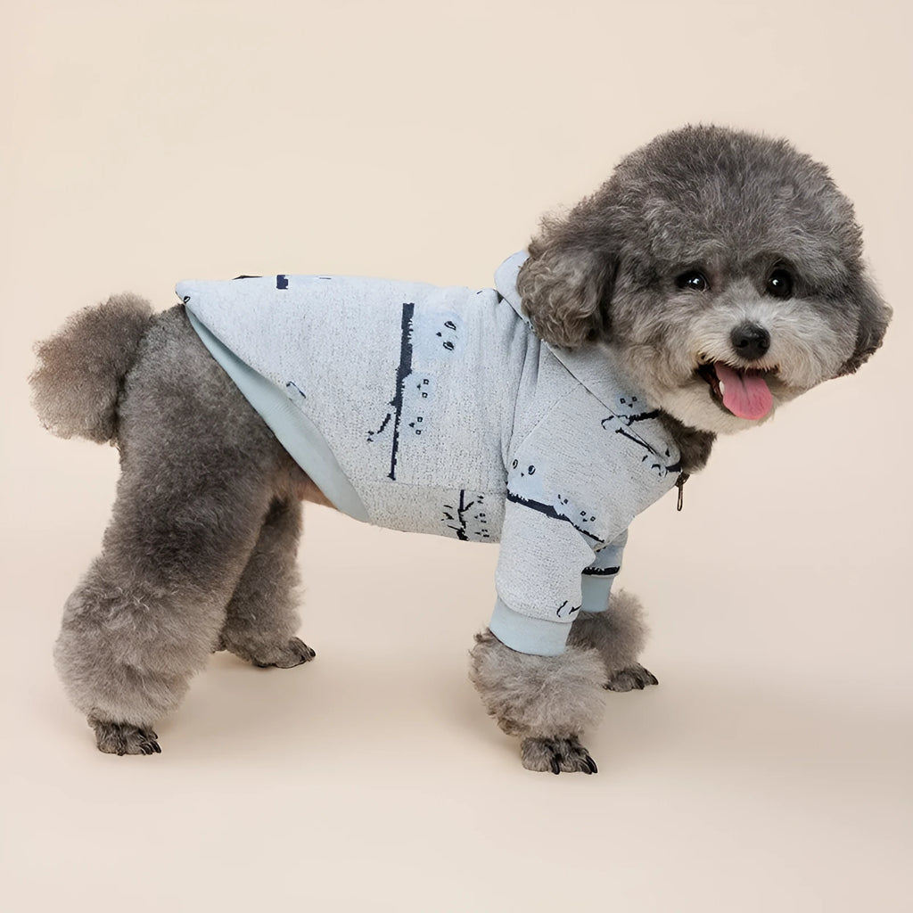 Blue cotton dog sweater with front zipper closure on small dog