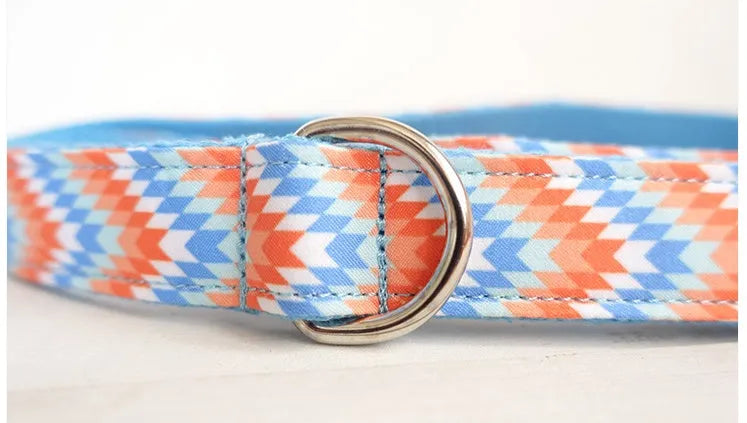 Money loop dog leash set in orange blue with polyester running rope on white background