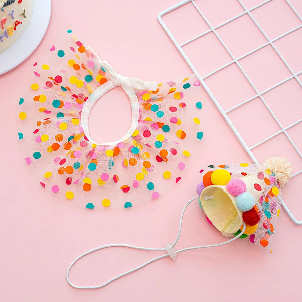 Pet dog wearing polka dot lace bib birthday suit with matching hat and colourful dot pattern