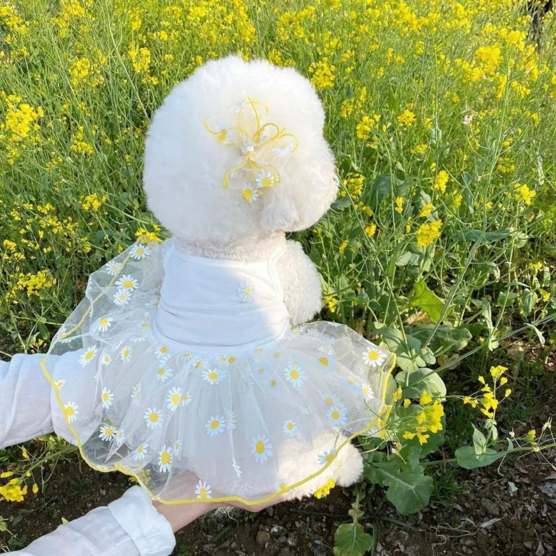 Yellow daisy print dog clothes on pet with lightweight polyester summer outfit