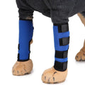 Dog leg brace support wraps in black, blue, and red for injury recovery and wound protection