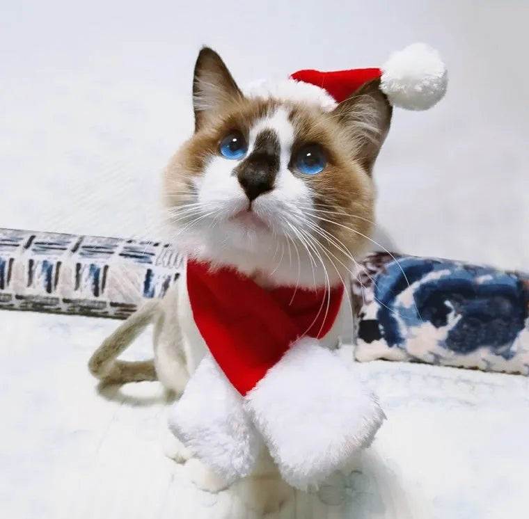 Red Christmas pet hat and scarf set in short plush, one size, for cats dogs and small pets