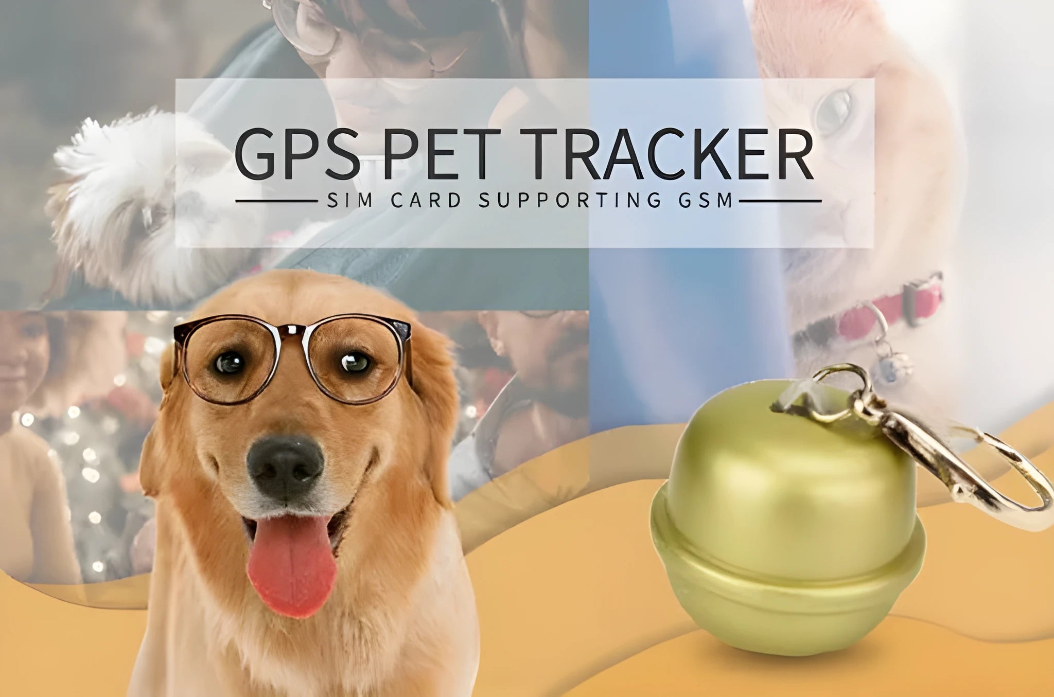 GPS dog collar pet locator in four colours with integrated satellite tracking unit