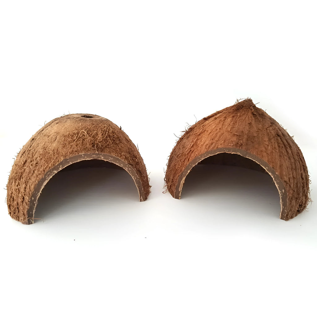 Two natural coconut shell reptile caves with handcrafted texture, 12-14 cm diameter