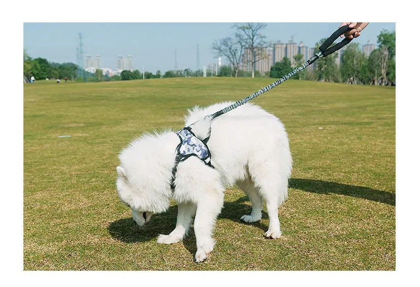 Grey nylon dog leash with chest strap, adjustable 75-150cm length, for small to large dogs