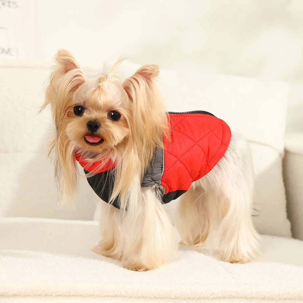 Cotton-padded pet ski suit in contrast colour diamond plaid, waterproof polyester, black grey or red grey, sizes XS-XL