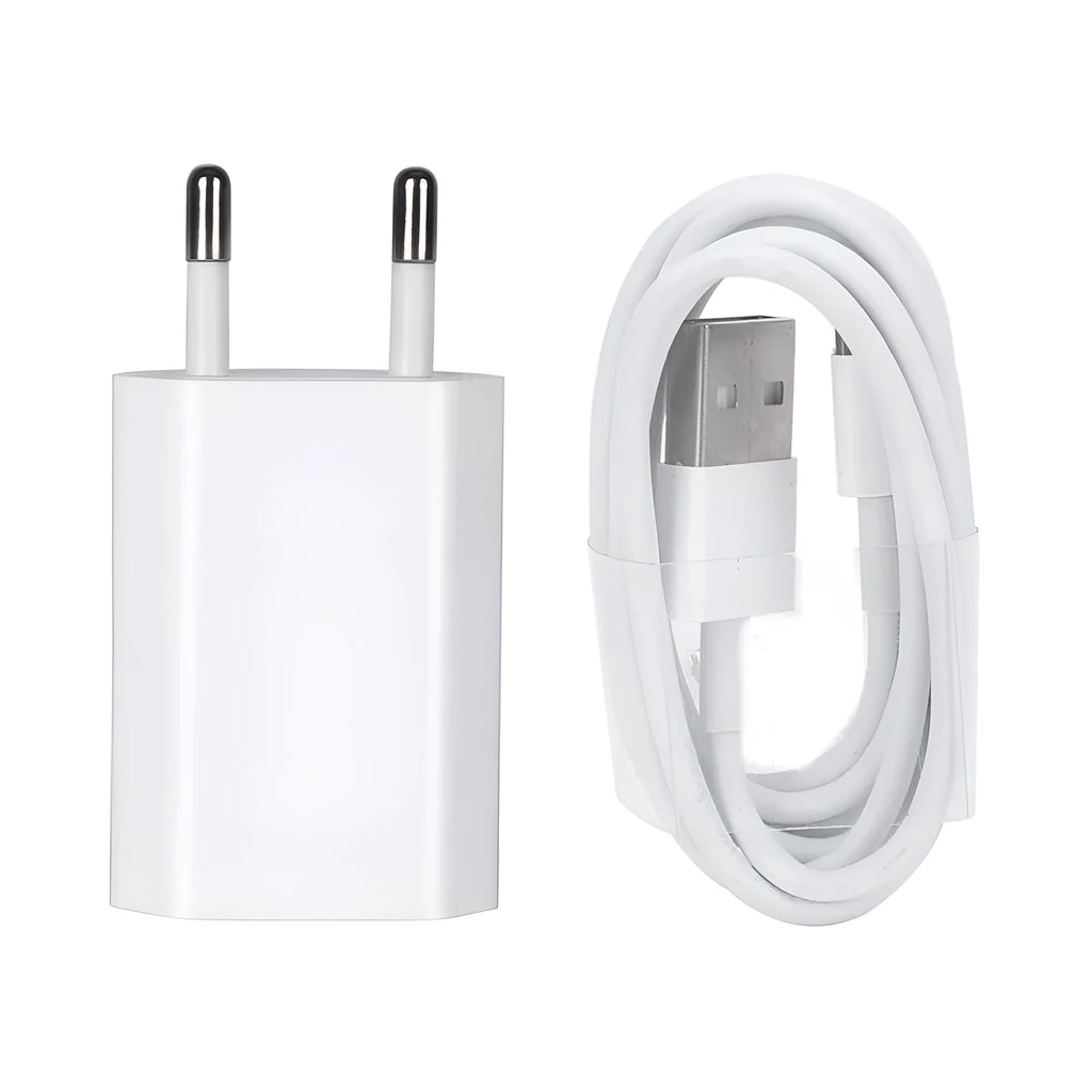 5V 2A USB wall charger with 1 metre cable for iPhone and iPad charging