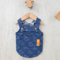 Teddy Bichon wearing denim princess dress with bracket-skirt design, small dog spring clothing