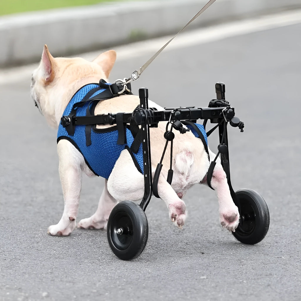 Blue dog wheelchair scooter made from aluminium alloy, PP, and polyester, available in sizes S, M, and XS.