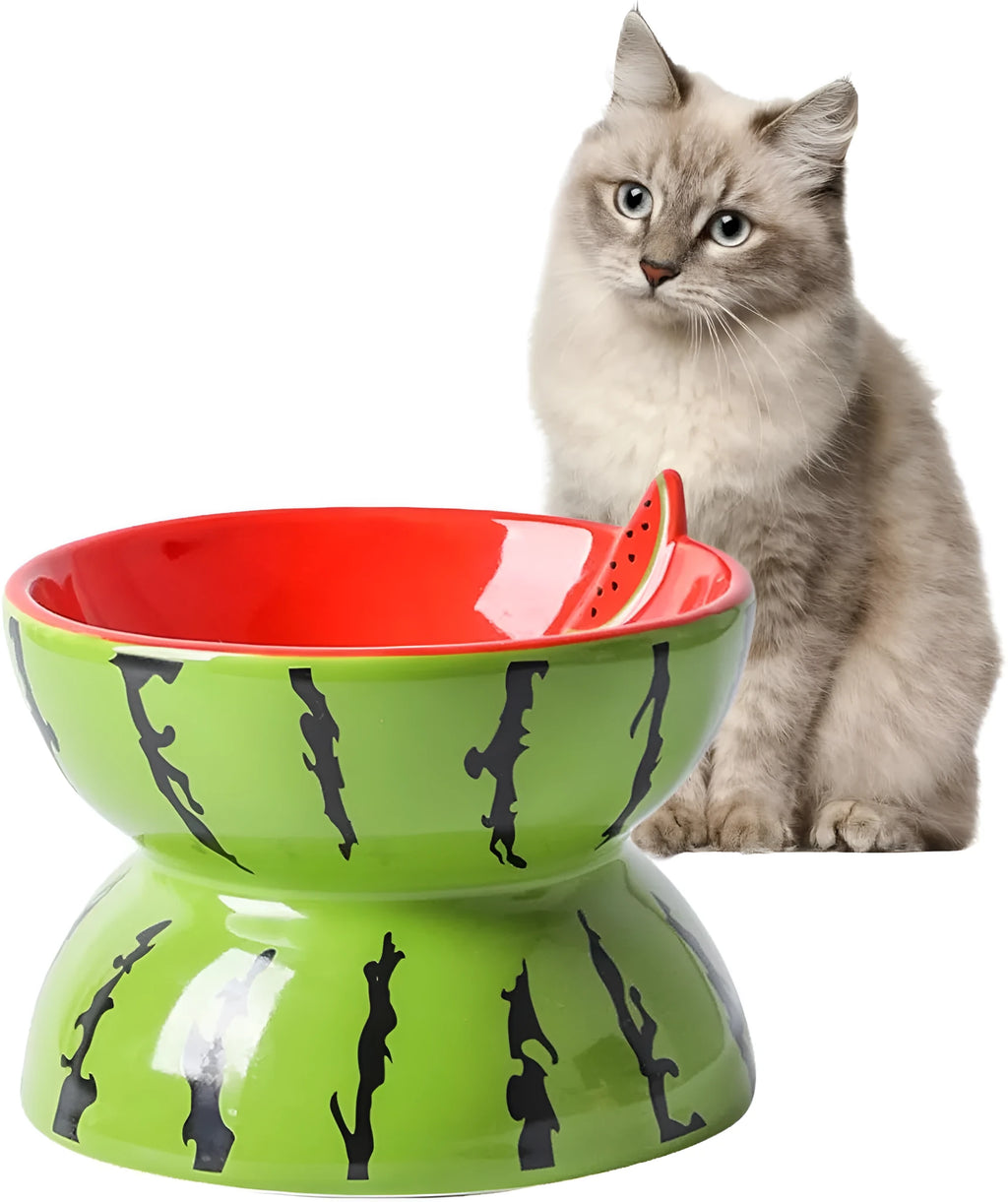Ceramic raised cat bowl with elevated stand and wide tilted dish in fruit pattern.
