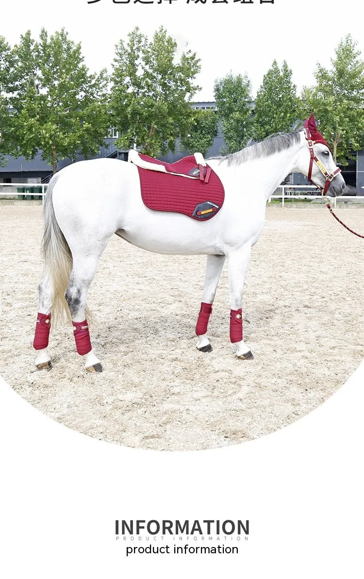 Riding saddle pad for shock absorption and waist protection in equestrian and cycling sports