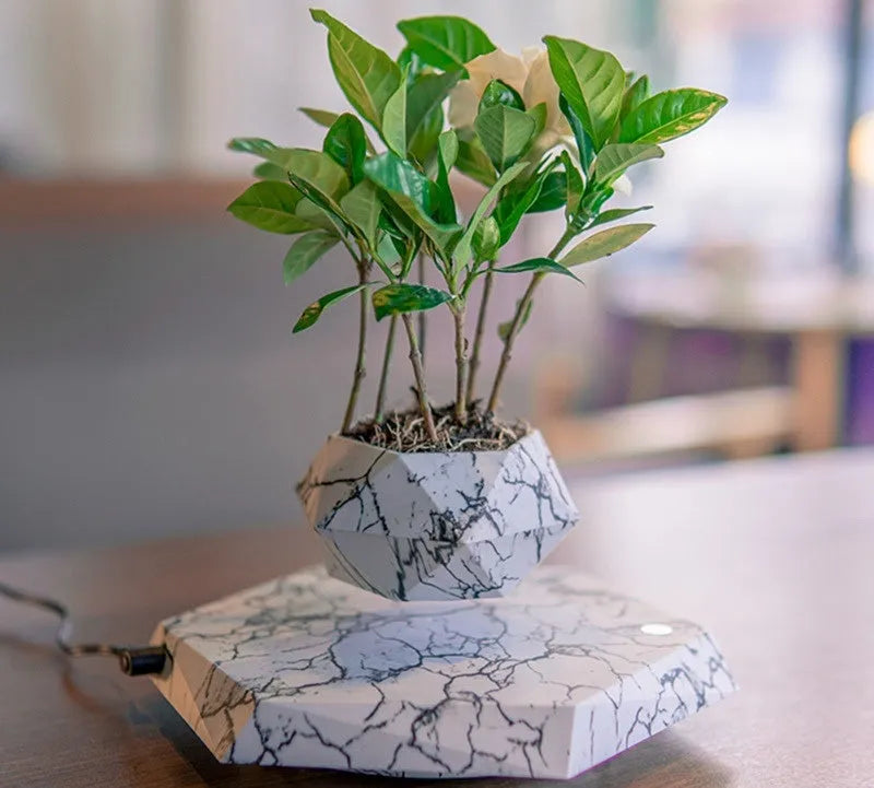 Marbled colour levitating plant pot floating above base with magnetic technology