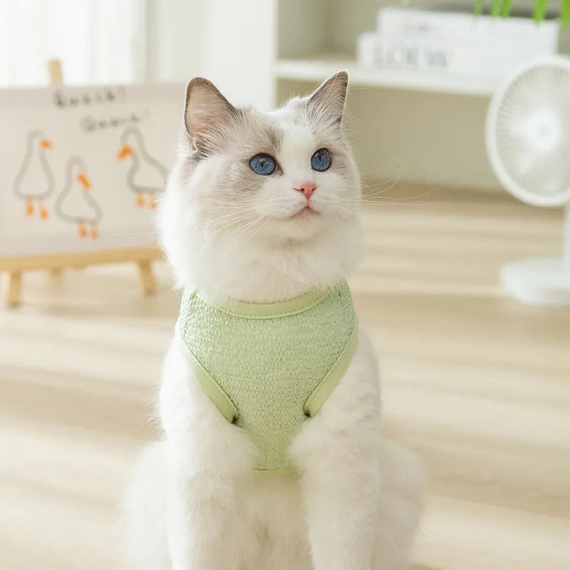 Bear patch cat clothing in hollowed-out knitted fabric shown in blue, green and yellow colours