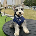 Blue and white slim-fitting pet hoodie with reflective letters for dogs and cats.