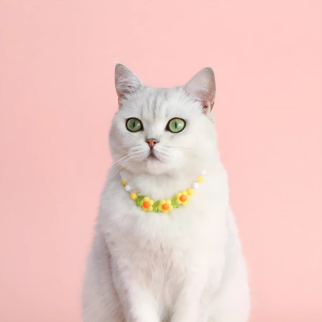 Colourful plastic bead necklace for small pets with peach, rainbow, or small flower pattern options.