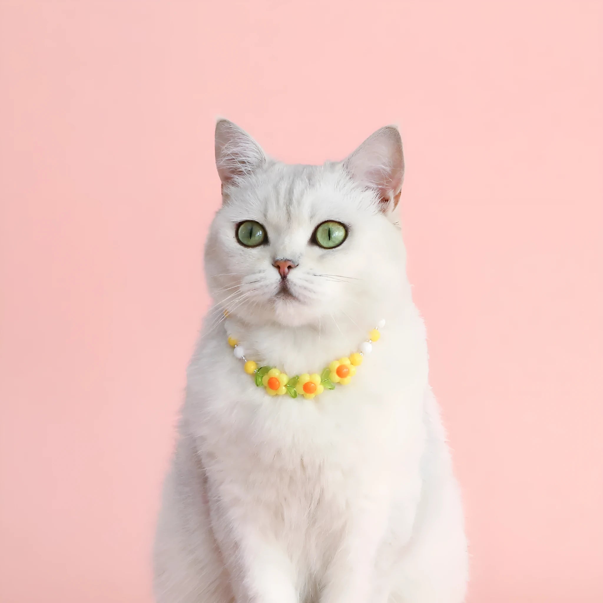 Colourful plastic bead necklace for small pets with peach, rainbow, or small flower pattern options.