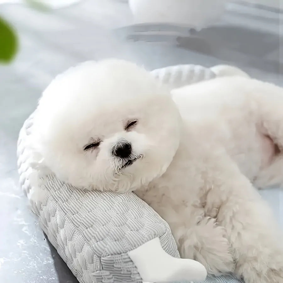 Blue big-eyed monster design non-slip pet cushion for dogs and cats on a wooden floor.
