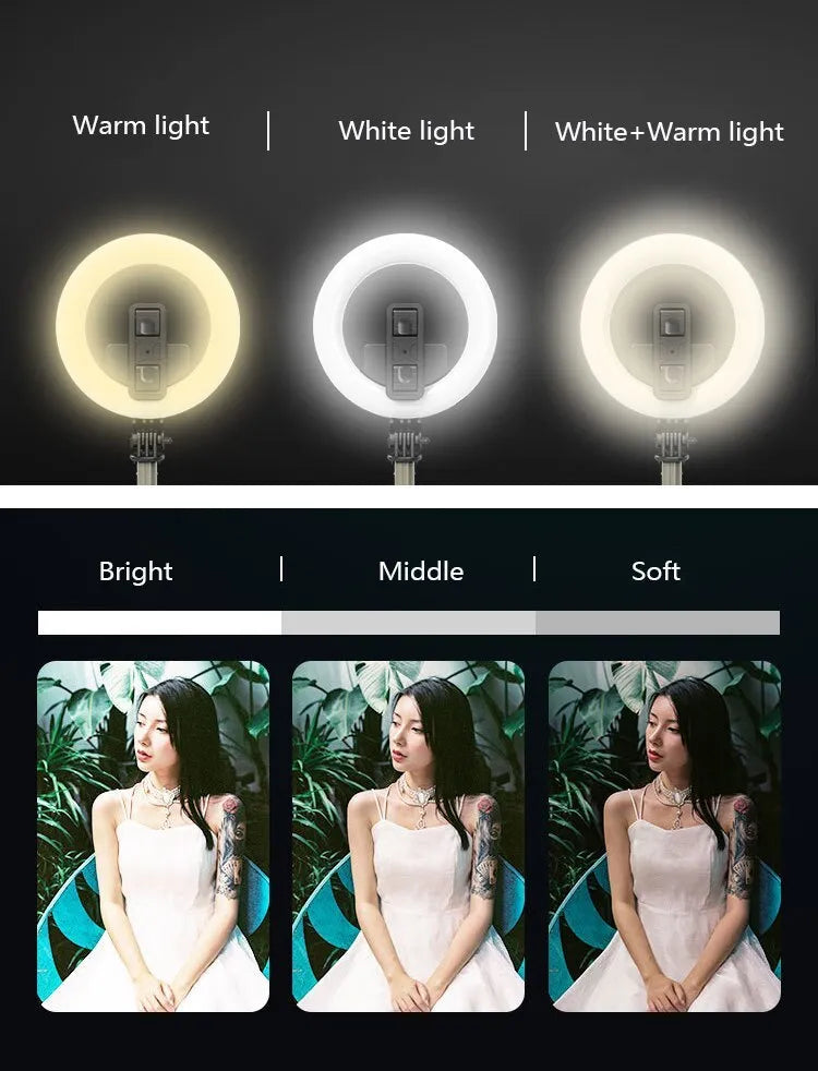 Black aluminium alloy selfie stick tripod with 5-inch ring fill light holding a smartphone, extended to show pole height