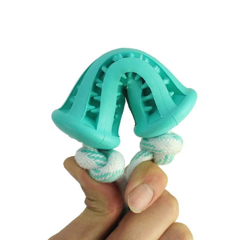 Dog molar toy set including spherical, bone, and rope shapes for teething and chewing