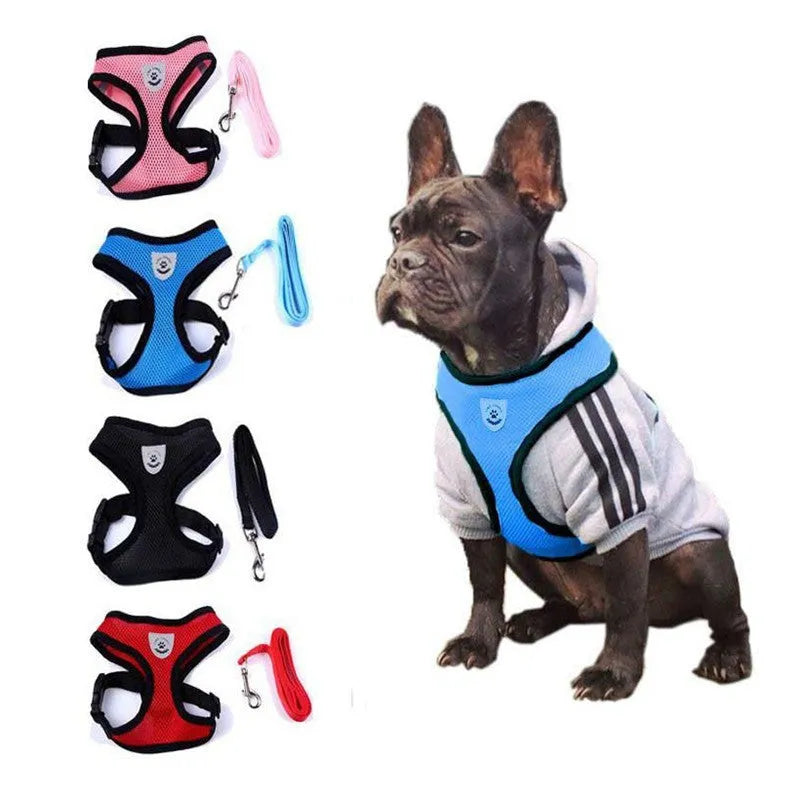 Pet car seat belt and leash with 220g mesh, 1.2 metre rope and 1.5cm width, in black red blue pink