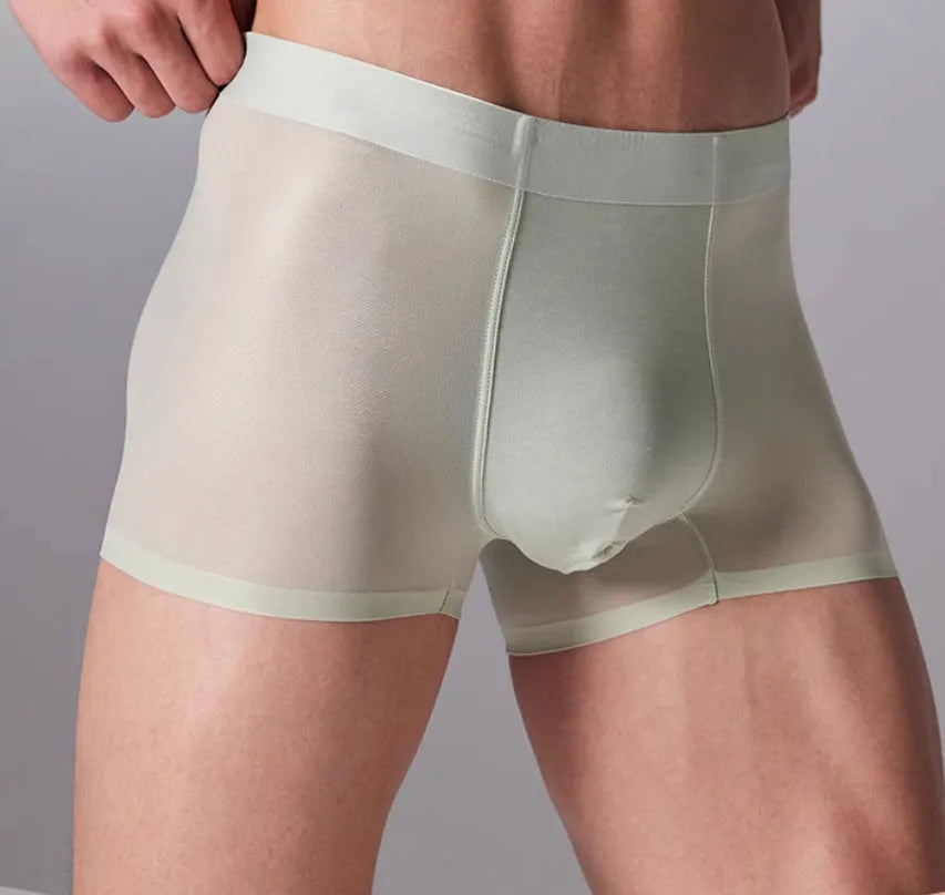Seamless antibacterial fitness shorts in four colours with dual-fabric construction for workouts