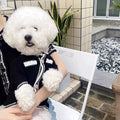 Korean style white dog sweater with pearl collar on small breed pet