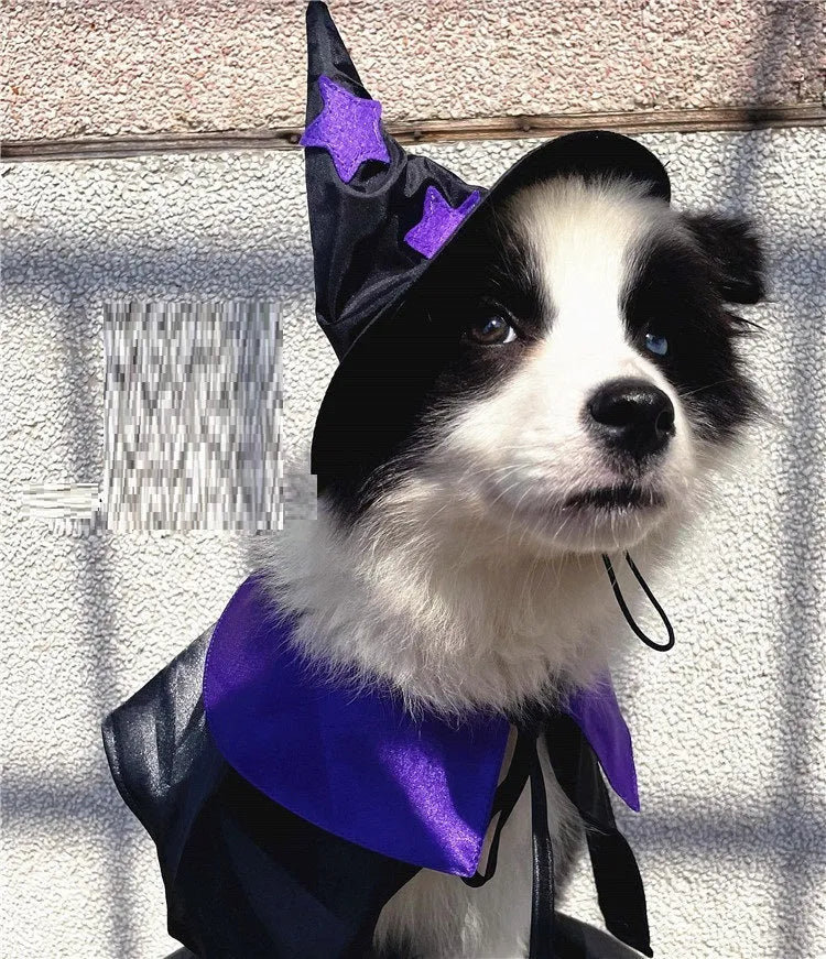 Purple and black satin pet wizard Halloween costume set with cloak and hat for cats and small dogs