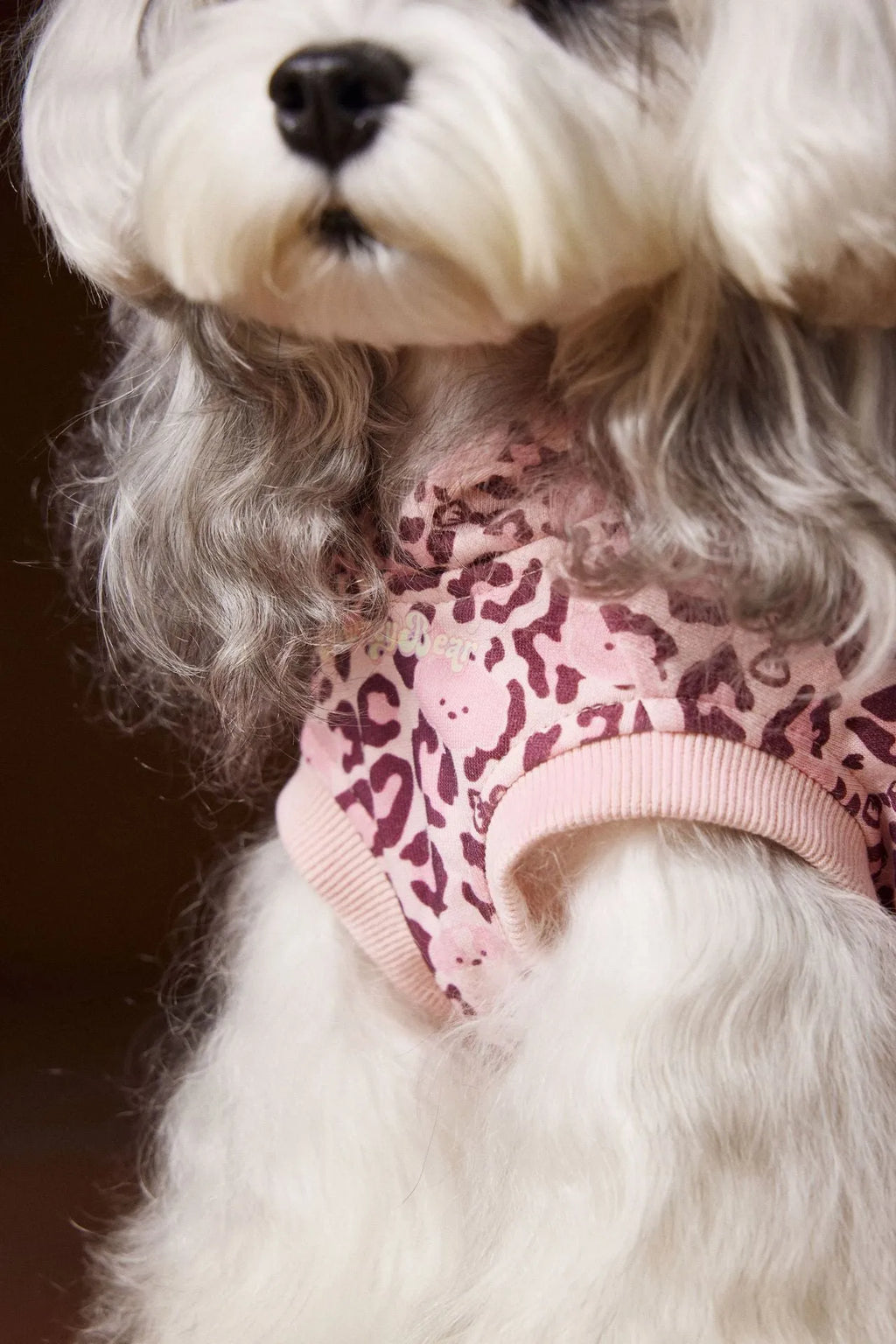 Leopard print sleeveless hooded dog sweater in coffee colour on small breed dog