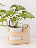 Ceramic sloth flower pot with green plant, 9cm diameter, medium size, photo colour