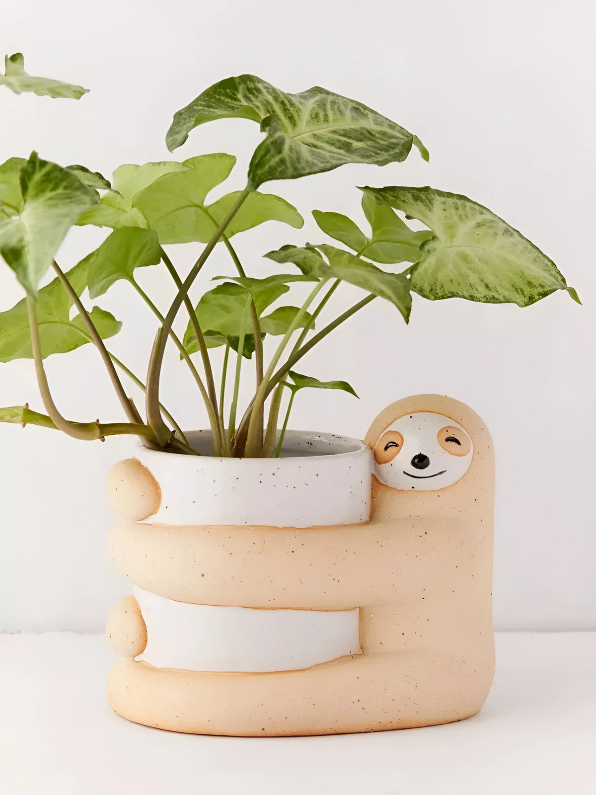 Ceramic sloth flower pot with green plant, 9cm diameter, medium size, photo colour