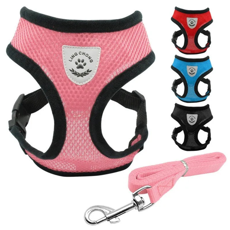 Pet car seat belt and leash with 220g mesh, 1.2 metre rope and 1.5cm width, in black red blue pink