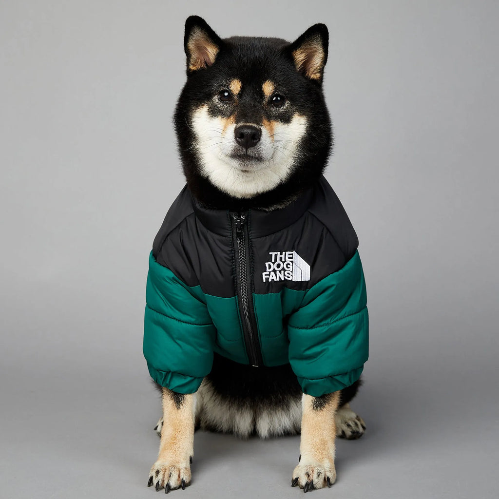 Windproof and rainproof polyester dog winter coat in dark green, available in multiple sizes