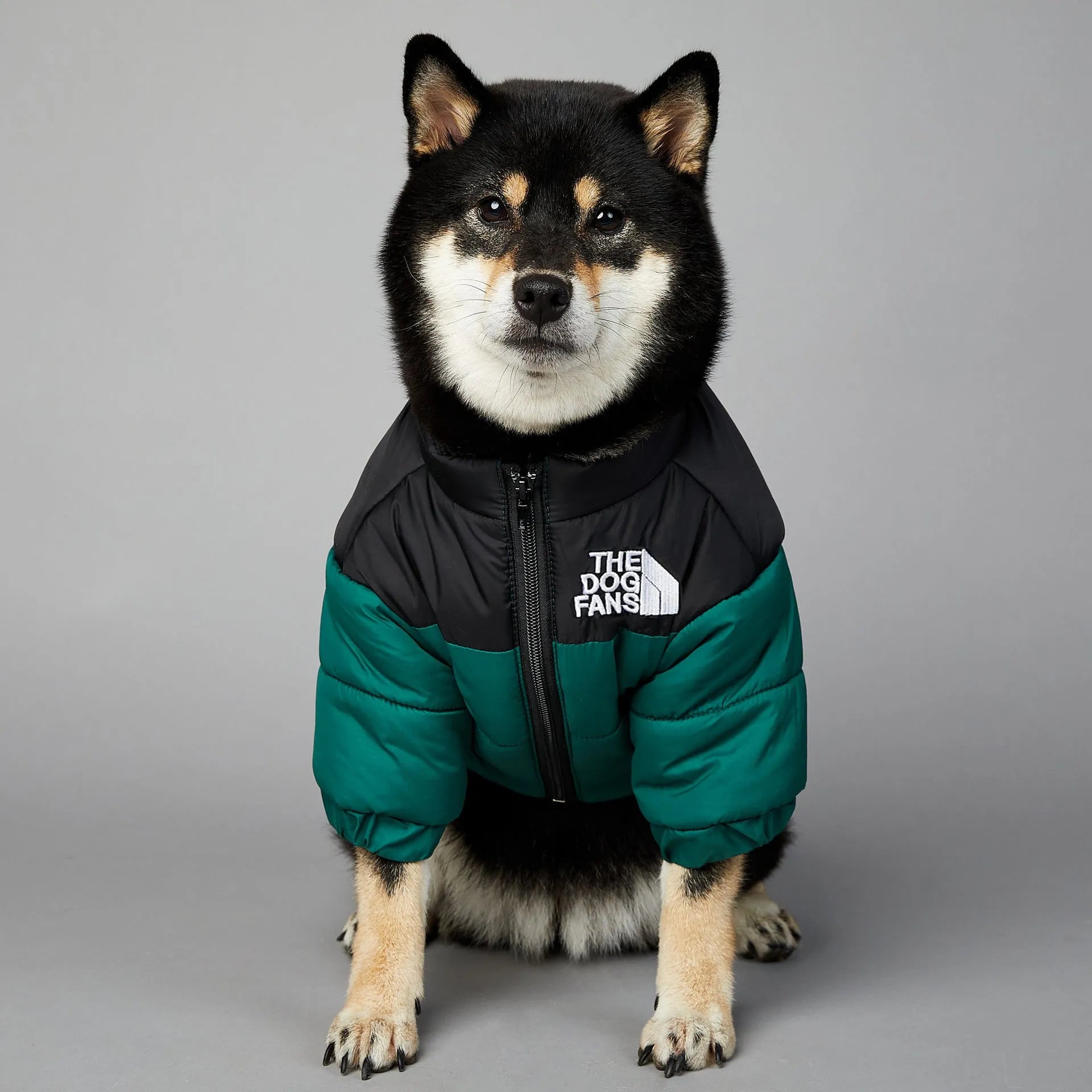 Windproof and rainproof polyester dog winter coat in dark green, available in multiple sizes