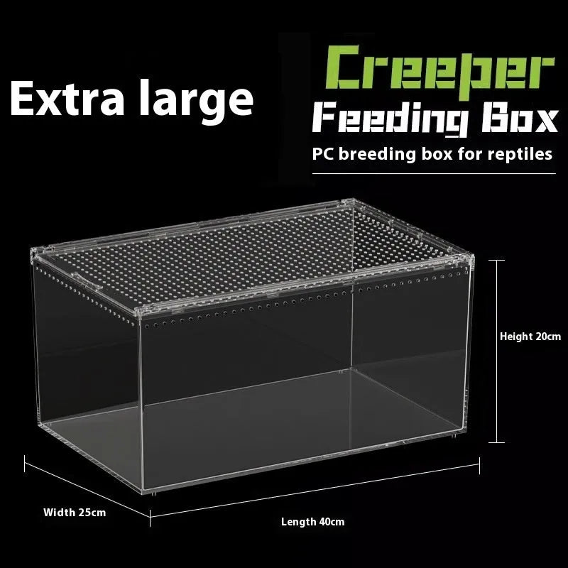 Transparent acrylic reptile feeding box showing ventilation design and clear PC construction