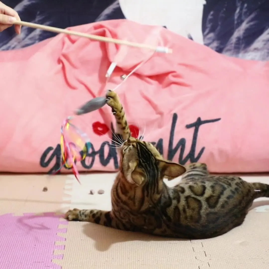 Cat wand toy with wooden handle, colourful ribbons, catnip fish, and bell for interactive play