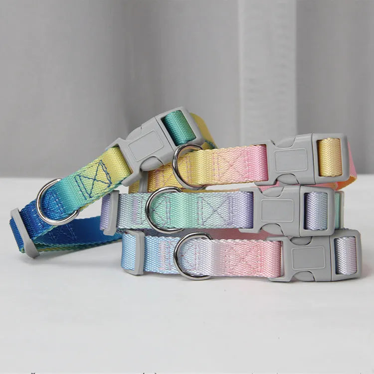Nylon dog leash set showing gradient colour options including pink/blue, pink/yellow patterns