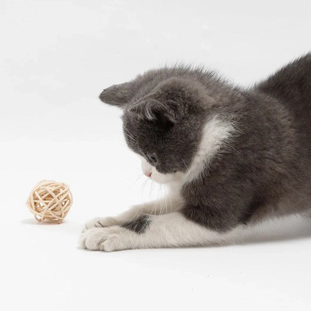 Two cat toy balls: one rattan sphere and one faux feather ball with bell, shown in primary colours
