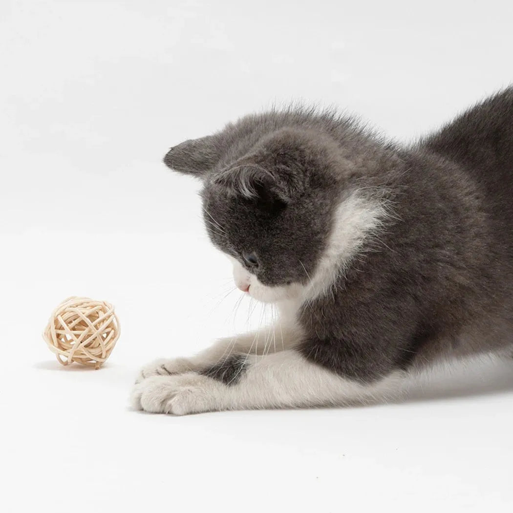Two cat toy balls: one rattan sphere and one faux feather ball with bell, shown in primary colours