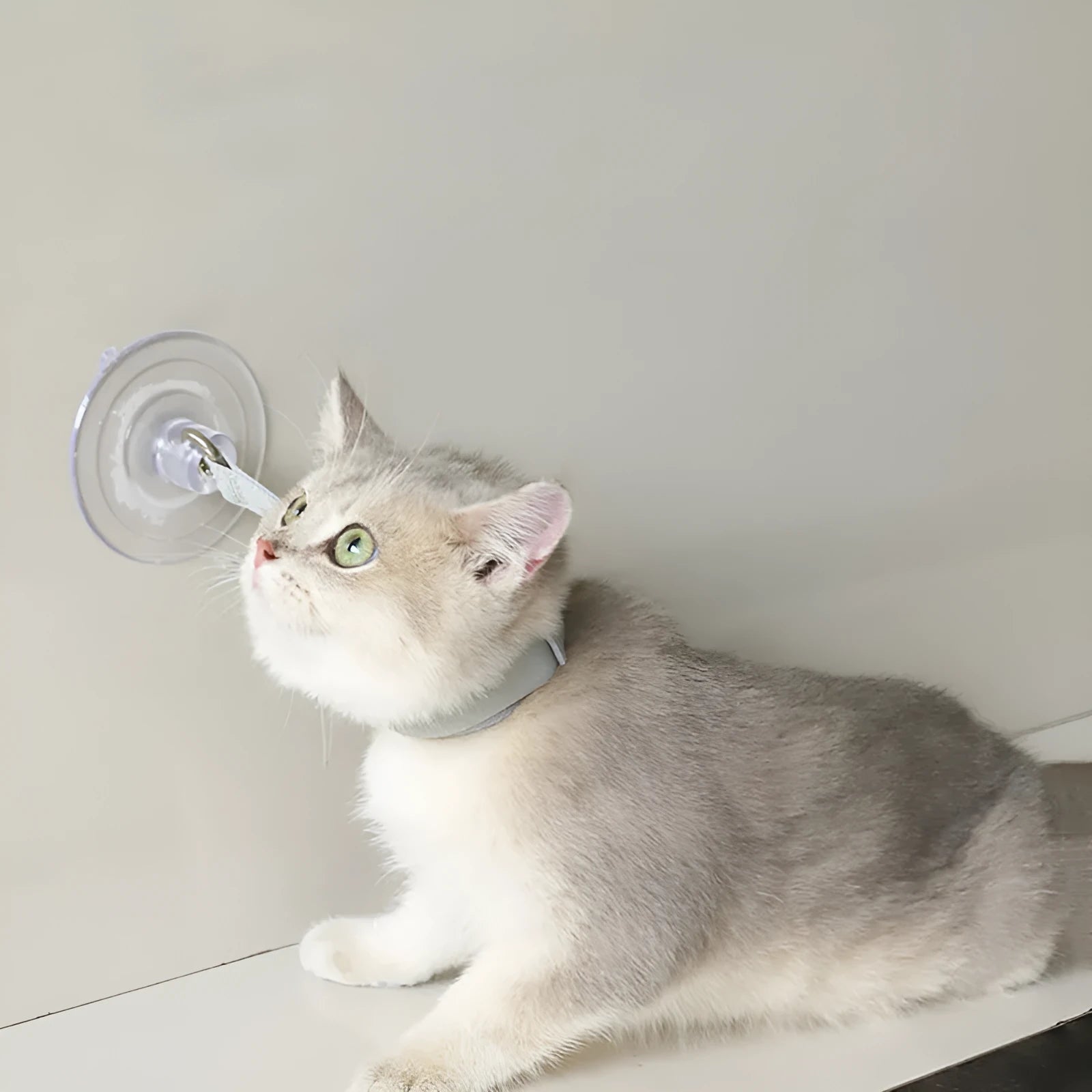 Adjustable fabric pet bathing restraint collar with suction cup in black, grey, and pink