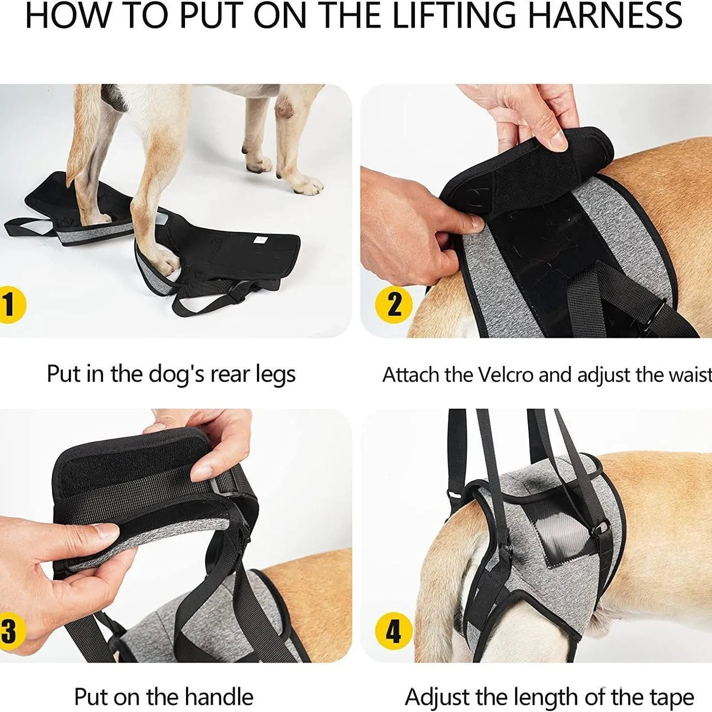 Grey neoprene recovery belt for injured dog rear legs showing waist and thigh support areas