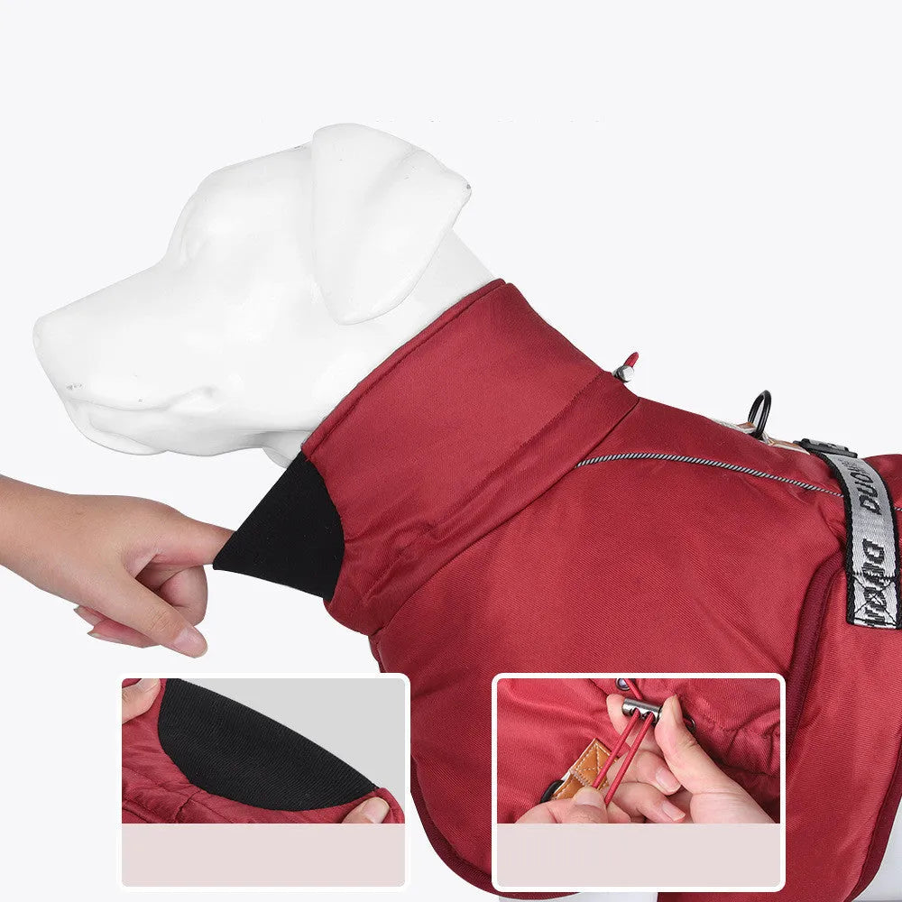 Dog wearing thickened warm reflective cloak-style vest in polyester, available in multiple sizes